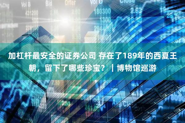 加杠杆最安全的证券公司 存在了189年的西夏王朝，留下了哪些珍宝？｜博物馆巡游