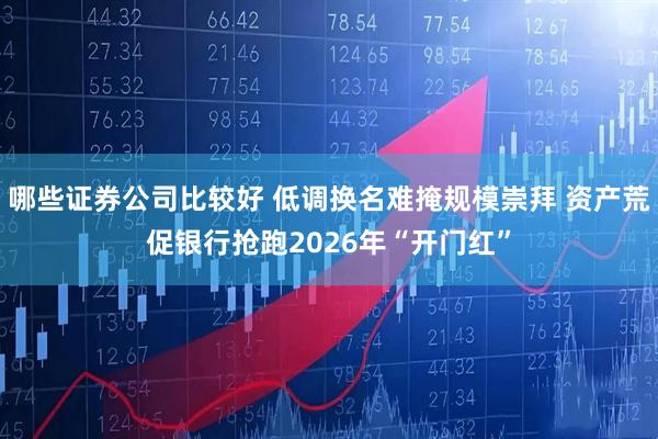 哪些证券公司比较好 低调换名难掩规模崇拜 资产荒促银行抢跑2026年“开门红”